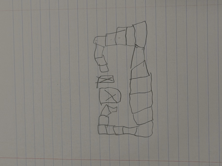 Aiden's original pencil drawing of two snakes